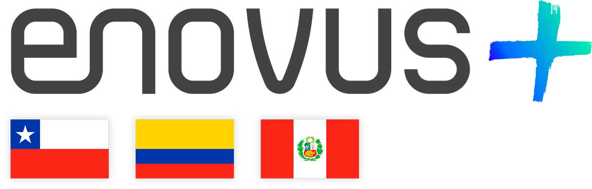 Logo_Enovus_Banderas